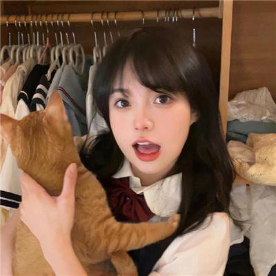 车手