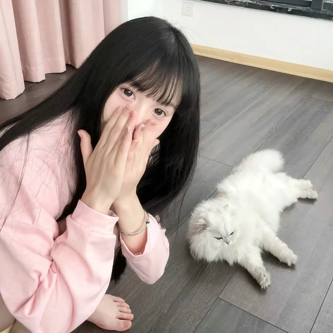 功夫杀手